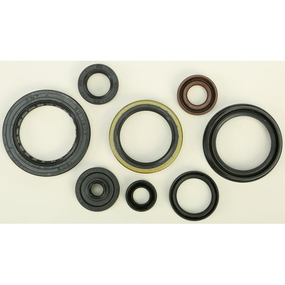 WINDEROSA 822346 OIL SEAL SET