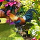 thumbnail image 3 of Letrero de Gallo para Jardín, Acrílico, para Exteriores, Jardín, Decoración de Jardín, Tarjeta de Inserción, Animales de Jardín A, 3 of 10