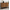 Black&Walnut, variant on Resenkos Mid Century Modern 6 Drawer Dresser with Cutout Handle for Bedroom Walnut
