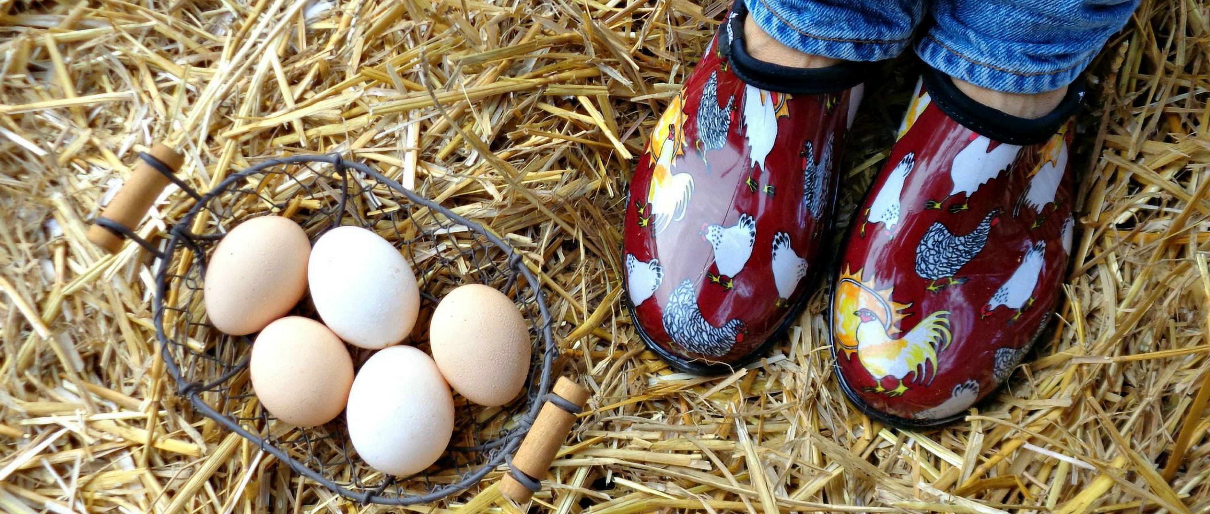 Sloggers hotsell shoes canada