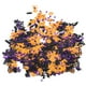 thumbnail image 5 of 200g Confeti de Halloween Fiesta de Halloween Mesa de dispersión Confeti Calabaza Telarañas Papel de aluminio Lentejuelas metálicas Confeti Decoración HMS220722, 5 of 12