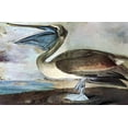 thumbnail image 1 of Audubon Brown Pelican - CANVAS OR PRINT WALL ART, 1 of 1