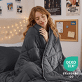 thumbnail image 2 of Sasttie 7 Pieces Twin Comforter Set, Reversible Bed in a Bag, All Season Bedding Set with Comforter, Flat Sheet, Fitted Sheet, Pillowcases & Shams, Dark Grey & Light Grey, 2 of 5