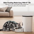 thumbnail image 2 of PETLIBRO Automatic Dog and Cat Feeder with Timer, Voice Recorder, 1-4 Meal Portion Control for Dry Food, 2 of 9