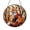 Acrylic 3.5 Inch, variant on Autumn Fox Woodland Stained Glass Suncatcher Window Hanging Decor, Forest Fox Sun Catcher Panel for Home Window Decoration, Nature Inspired Decorative Art Gift