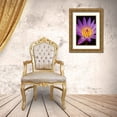 thumbnail image 3 of Anonymous 13x18 Gold Ornate Wood Framed with Double Matting Museum Art Print Titled - Violet Lotus, 3 of 4