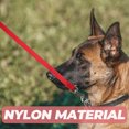 thumbnail image 4 of Correo reflectante para perros correa para perros de nylon para caminar y entrenar correa para cachorros con anillo, 4 of 6