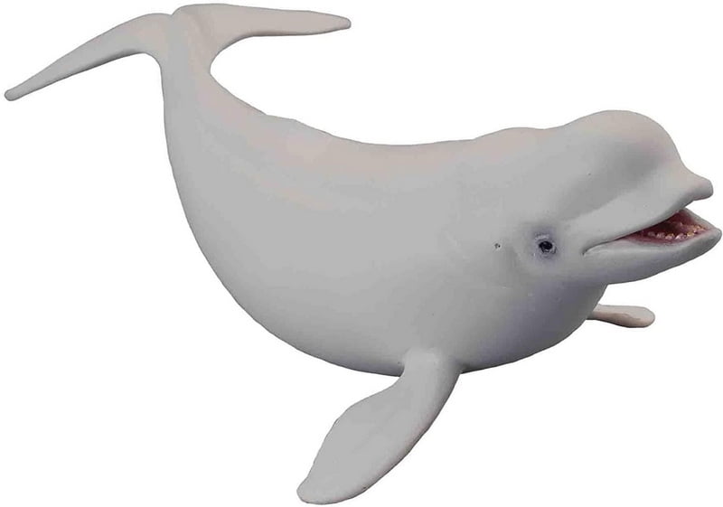 CollectA Gray Whale 