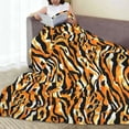 thumbnail image 6 of Sikiie Zebra Ultra-Soft Micro flannel Blanket Luxury All Seasons Warm Blanket for Bedding Sofa and Travel (4 sizes)-80"x60", 6 of 7