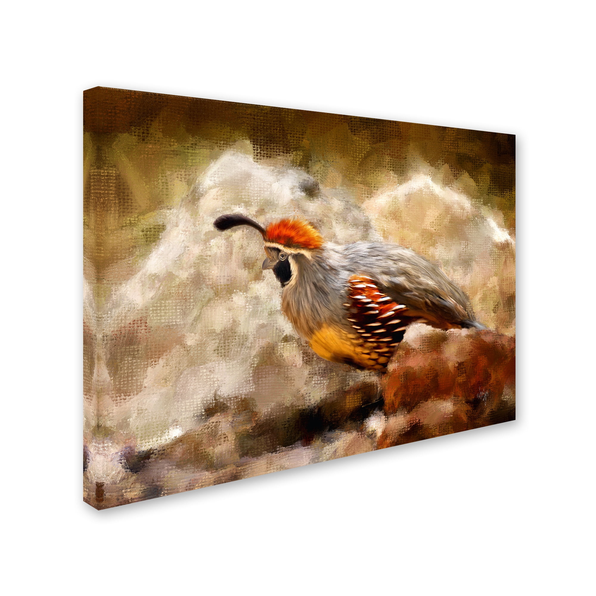 Trademark Fine Art "Hurrying Quail" Canvas Art by Lois Bryan