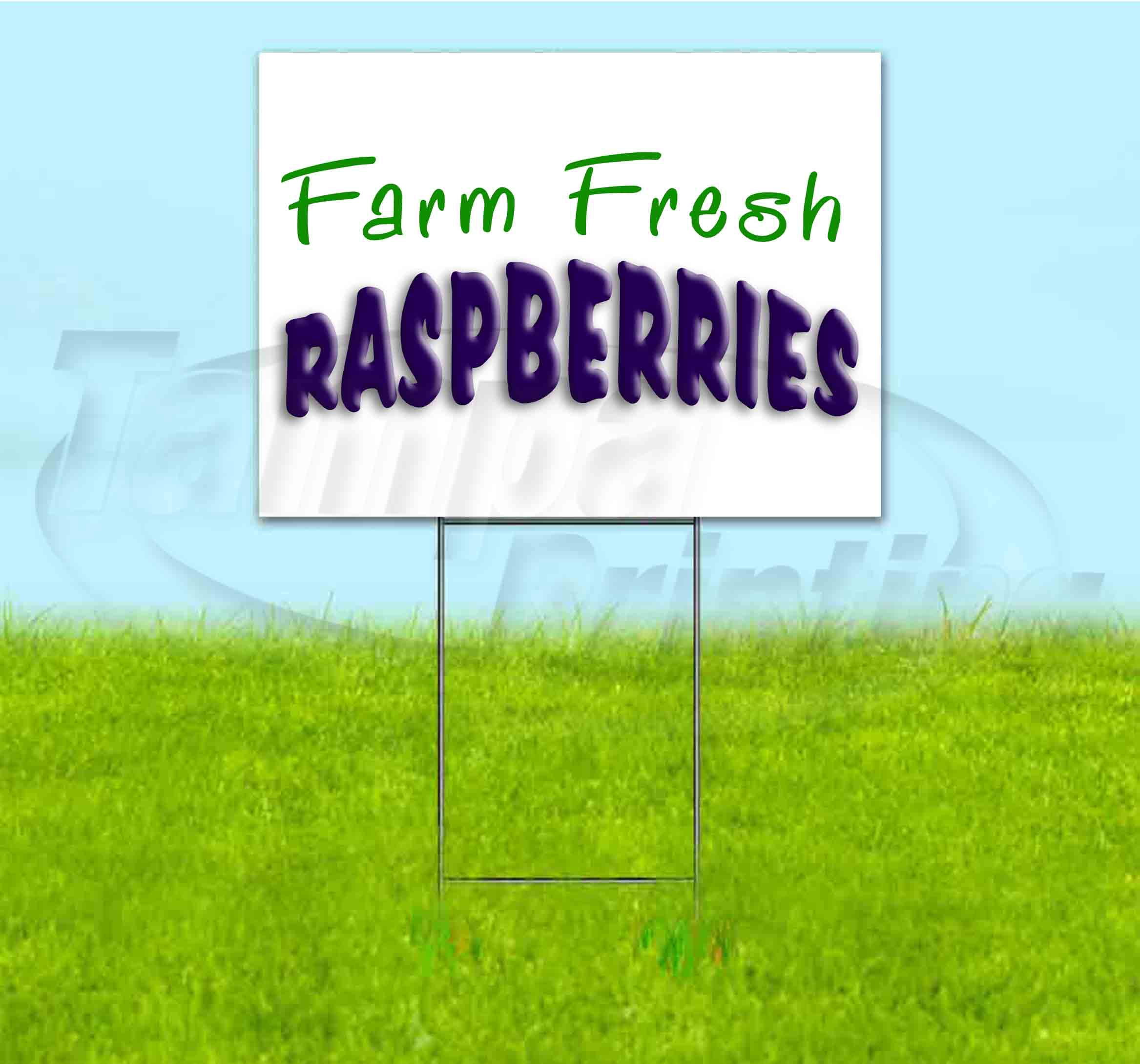 Farm Fresh Raspberries (18