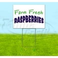 thumbnail image 1 of Farm Fresh Raspberries (18" x 24") Yard Sign, Includes Metal Step Stake, 1 of 6