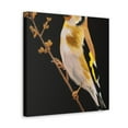 thumbnail image 5 of American Goldfinch Beauty - Canvas, 5 of 25