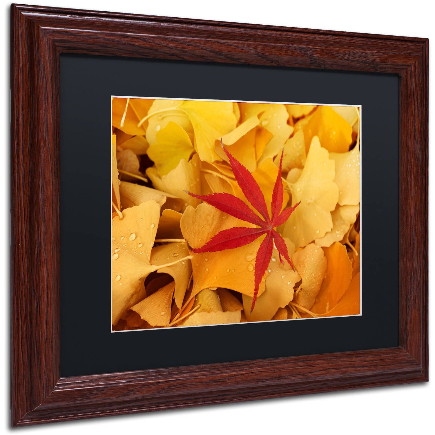 Trademark Fine Art "Red Star" Canvas Art by Philippe Sainte-Laudy Black Matte, Wood Frame