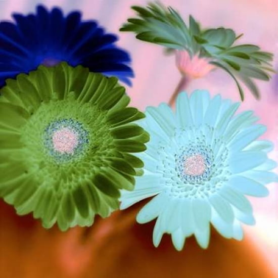 Posterazzi Floral C