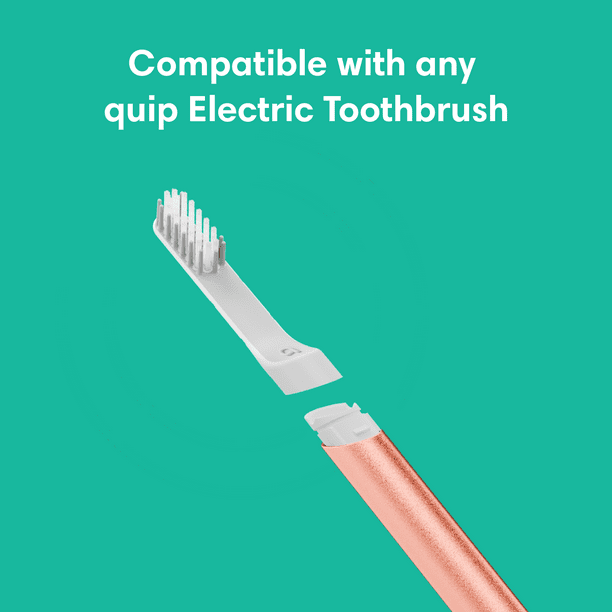 Quip Adult Electric Toothbrush Replacement Brush Head Full Head Soft Bristles Gum Care 1 Count Walmart Business Supplies