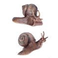 thumbnail image 3 of Figura De Caracol En Miniatura Cultivo Atención E Información De Los Niños Modelo De Caracol De Simulación Diseño Profesional Adorno De Caracol Para Decoración De Plantas De Bonsái Noticed EL014270-02, 3 of 4