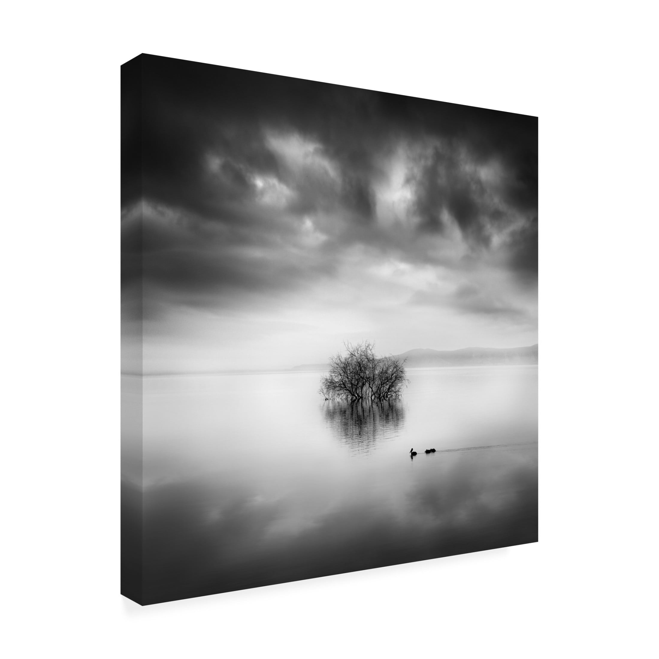 Canvas Wall Art - George Digalakis 'A Ray Of Light' Wall Art for Living Room, Bedroom, or Office Décor by Trademark Fine Art - 18 x 18 Inches