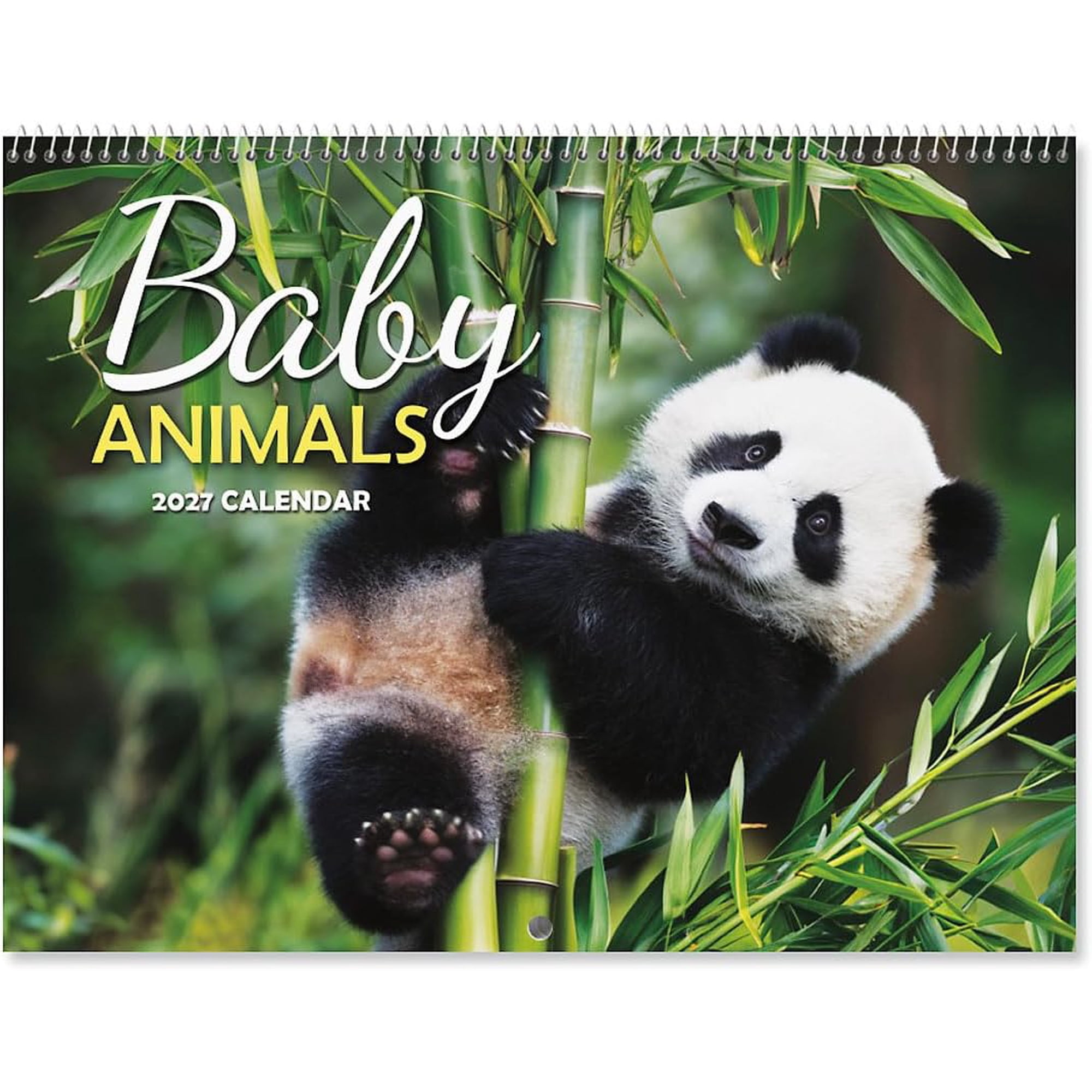 2027-2028 Wall Calendar