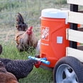 thumbnail image 4 of Cuenco de agua para pájaros Colco 5 Uds. Bebedero Automático para aves de corral, 4 of 8