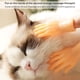 thumbnail image 5 of Masajeador De Gato De Mano Pequeña Manga De Masaje De Gato Con Forma De Mano Para Dedo Guardurnaity PT001166-00, 5 of 6