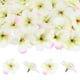 thumbnail image 1 of Uxcell 50-Pack Cabezas de Flores de Orquídea Artificial, 2.17"/ 5.5cm Flores de Orquídea Falsas de Seda para Manualidades DIY, Verde Crema, 1 of 1