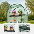 thumbnail image 3 of GAZEBETER Small Greenhouse 4-Tier,40 x 18 x 63'' Mini Greenhouse for Indoor Outdoor,Portable Plastic Plant Green House Mini with Roll-up Zipper Door,Green, 3 of 10