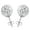 White Crystal, variant on QQTDFG 1 Pair Stainless Steel Sparkle Crystal Ball Stud Earrings for Women Ear Piercing-White Crystal-12mm
