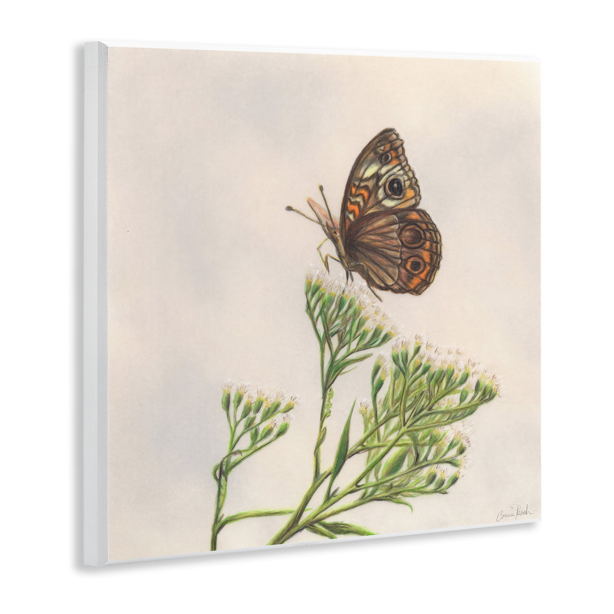 Stupell Industries Spring Offerings Butterfly Animals & Insects Painting Unframed Art Print Wall Art, 12 x 12