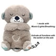 thumbnail image 4 of Dropshipping Schlummerotter Sleep Plush Koala Sensory Toys Gift Breathing Schlummer Otter Music Appease Gift Plush Dinosaur Toys, 4 of 5