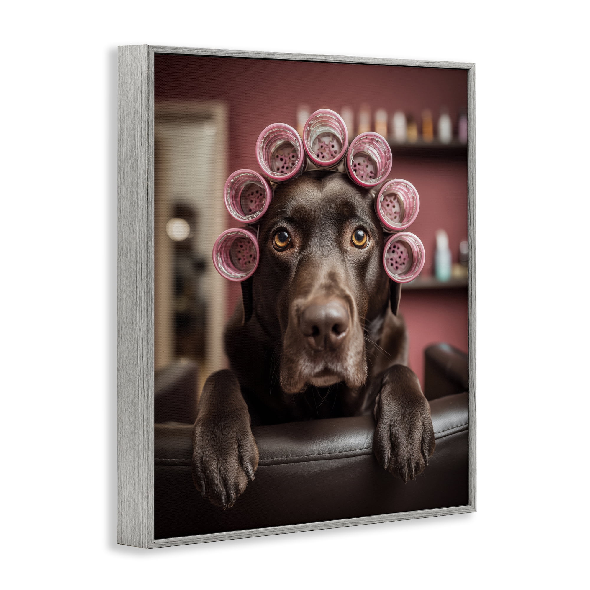 Stupell Industries Dog at Salon with Curlers Gray Framed Giclee Art, design by Scott Stulberg