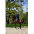 thumbnail image 3 of Equestrian Stockholm Dressage Saddle Pad Leather Deluxe Silver FULL, 3 of 4
