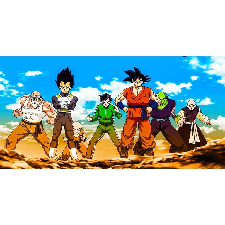 DragonBall Z (DBZ) Complete Box Set - Seasons 1-9 DVD - Walmart.com
