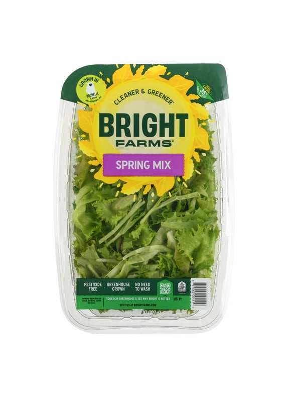 Spring Mix Salads in Fresh Packaged Salads, Dressings & Dips