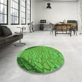 thumbnail image 4 of Ahgly Company Machine Washable Indoor Round Transitional Green Area Rugs, 3' Round, 4 of 7