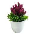thumbnail image 4 of Simulation Plant Potted Podocarpus Pine Small Bonsai Fake Flower Garden Decor, 4 of 8