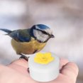 thumbnail image 1 of Hummingbird Feeder, Flower Shape Mini Bird Feeder  for Outdoor Red,Yellow, 1 of 7