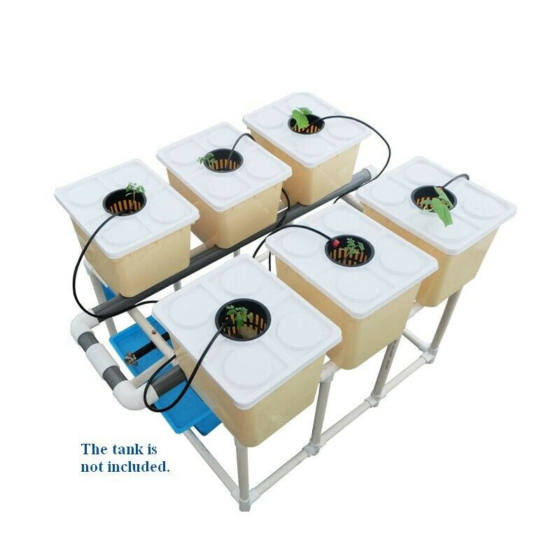 INTBUYING Hydroponic Dutch Bato Bucket Grow System 6 Box Plant Site ...