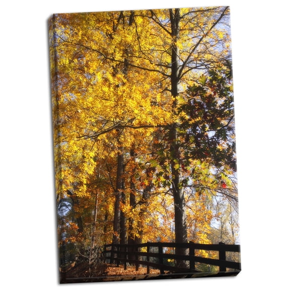 Gango Home Decor Boughs of Gold II by Alan Hausenflock (Ready to Hang); One 24x36in Hand-Stretched Canvas