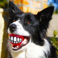thumbnail image 4 of Dog Teeth Toy Super Soft Colorful Funny Chewing Balls for Self Playing, 4 of 5