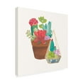 thumbnail image 2 of Wild Apple Portfolio 'Succulent Garden IV' Canvas Art, 2 of 3
