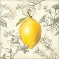 thumbnail image 2 of Meagher, Megan 15x15 White Modern Wood Framed Museum Art Print Titled - Lemon and Botanicals, 2 of 4