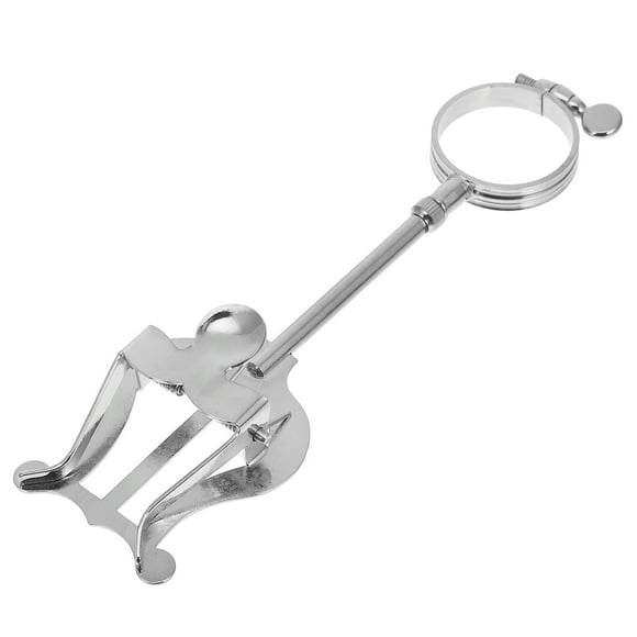 Pequeño puntaje de puntuación Soporte Clarinete Hoja de música Clip Simple Clarinet Accesorio