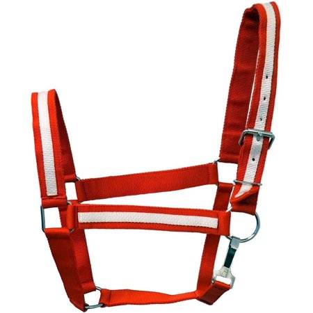 Draft Horse Size 2 Ply Nylon Halter with Stripe Accent