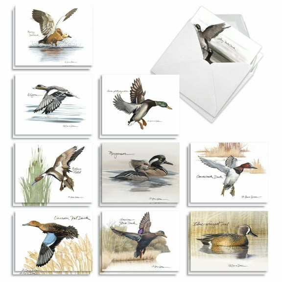 The Best Card Company 20 Assorted Blank Notecards Box Set 4 x 5.12 Inch with Envelopes (10 Designs, 2 Each) What's Up Duck AM10038OCB-B2x10