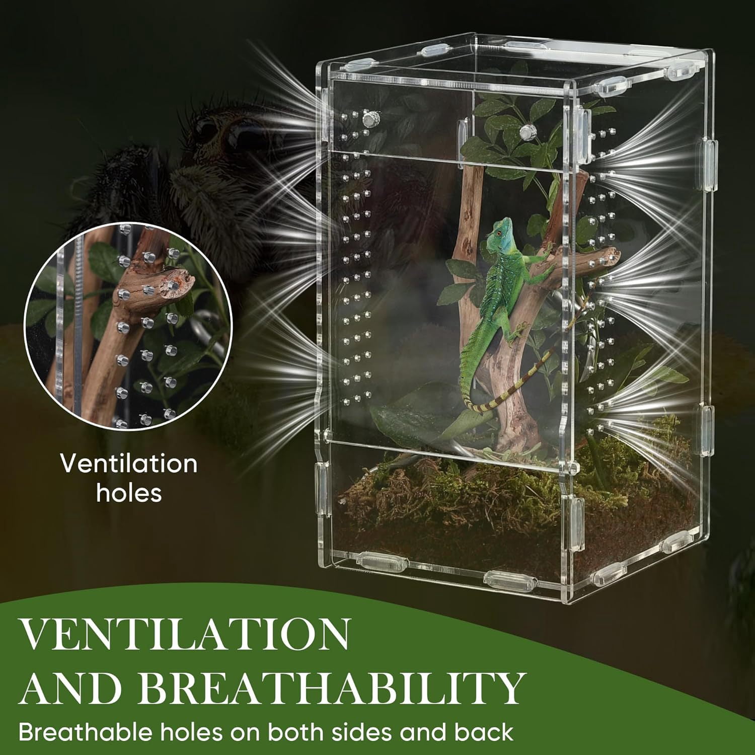 Clear Acrylic Reptile Terrarium, 12x12x20cm Full View Small Enclosure with Magnetic Lock, Multi-Side Ventilation Holes, Habitat for Jumping Spiders, Tree Frogs, Insects, Small Reptiles & Amphibians