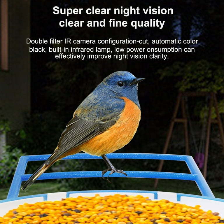 Automatic mealworm feeder cheap