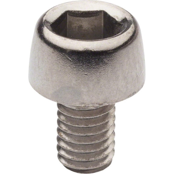 Campagnolo Rear Derailleur Cable Clamping Bolt, Each
