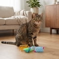 thumbnail image 3 of Vibrant Life Rolling Springs Cat Toys, 3 Pack, 3 of 8