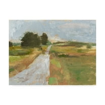Trademark Fine Art 'Back Country Road I' Canvas Art by Ethan Harper